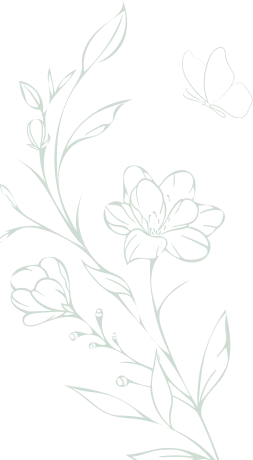 Back Design Back Design