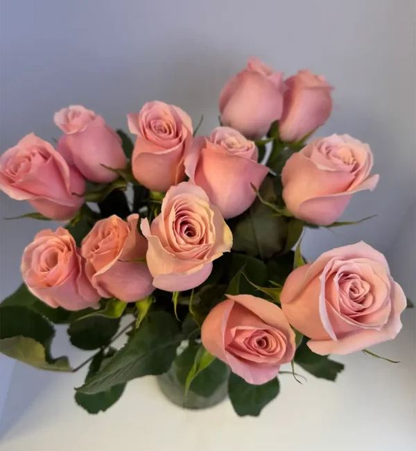 Pastel Pink Roses