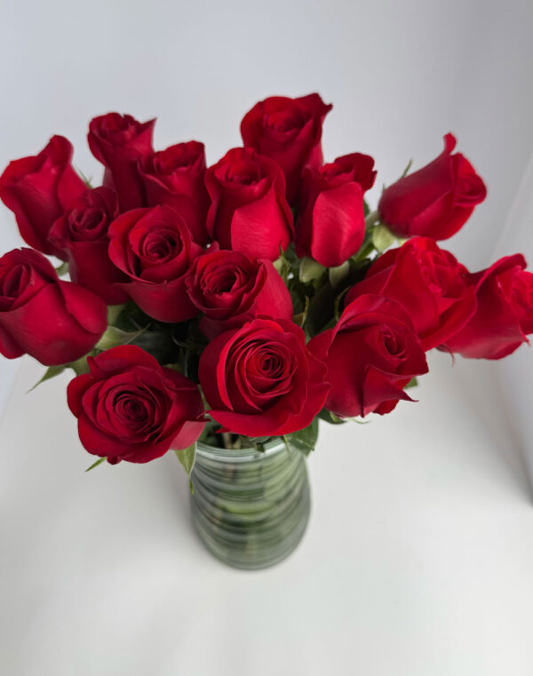 red roses