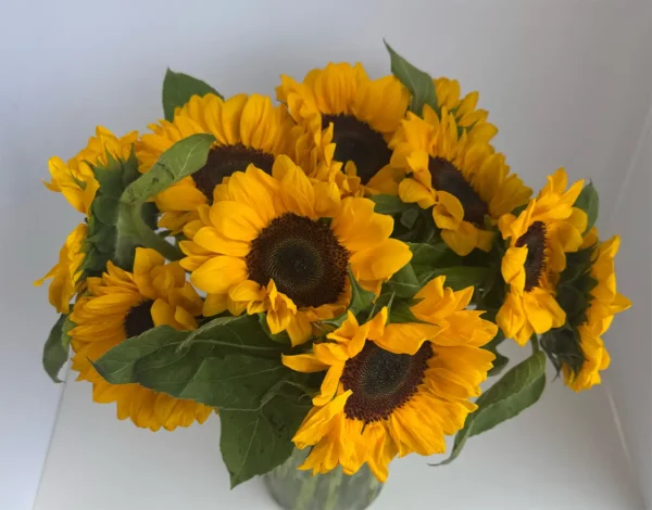 Sunny Day Bouquet